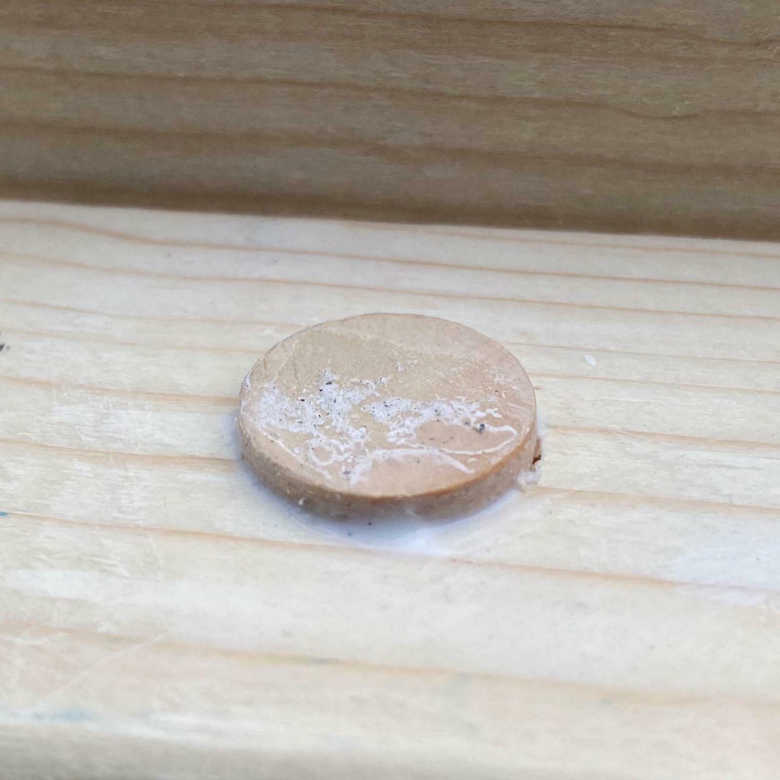 Hidden screws with wooden plug - plug
